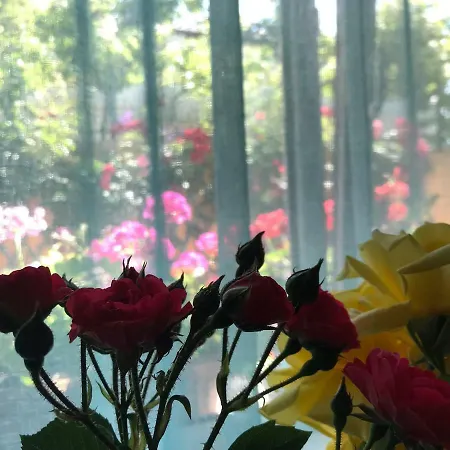 Πανσιόν Black Sea House 3*