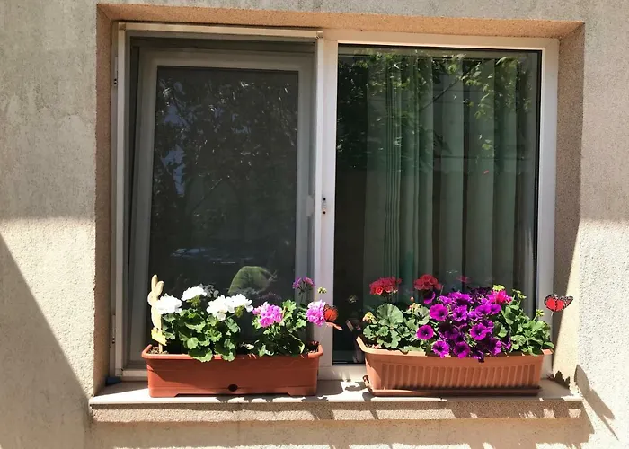 Black Sea House ゲストハウス 3*