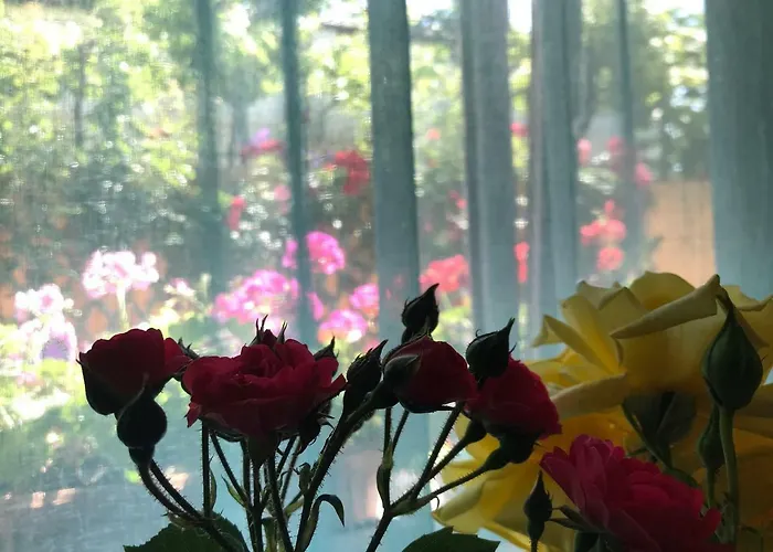 ゲストハウス Black Sea House 3*