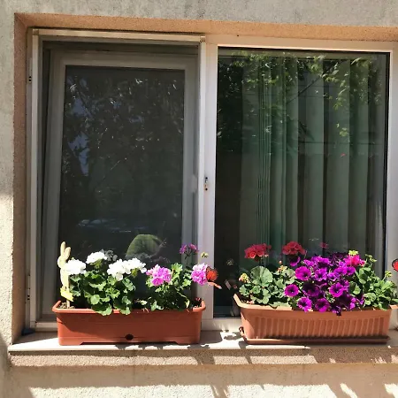 Black Sea House Guest house *